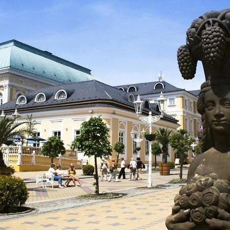 Penzion U Modreho Slona Františkovy Lázně Exterior foto