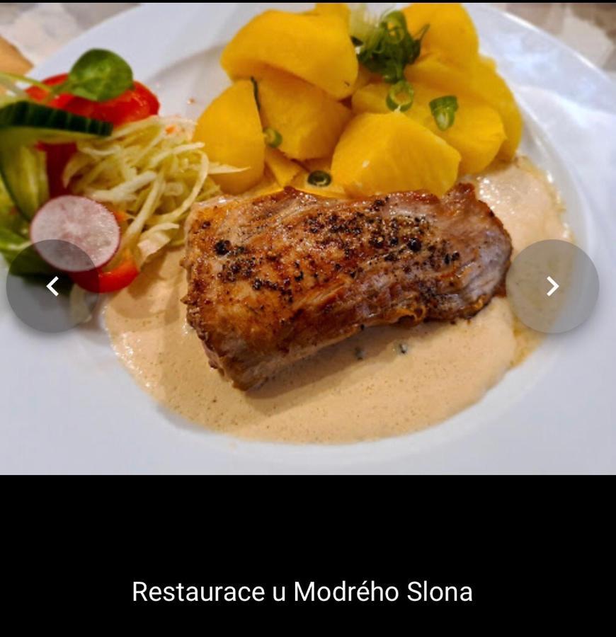 Penzion U Modreho Slona Františkovy Lázně Exterior foto