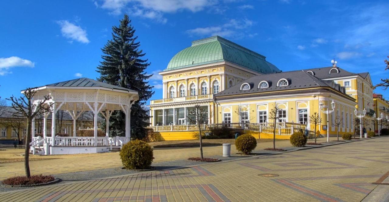 Penzion U Modreho Slona Františkovy Lázně Exterior foto