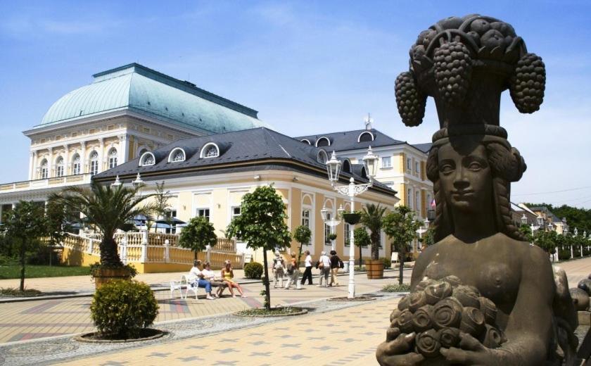 Penzion U Modreho Slona Františkovy Lázně Exterior foto